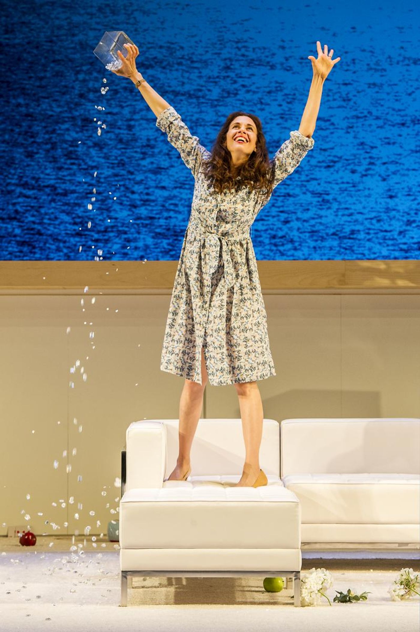 Review: Sarah Ruhl's THE CLEAN HOUSE at Williamstown Theatre Festival  Image