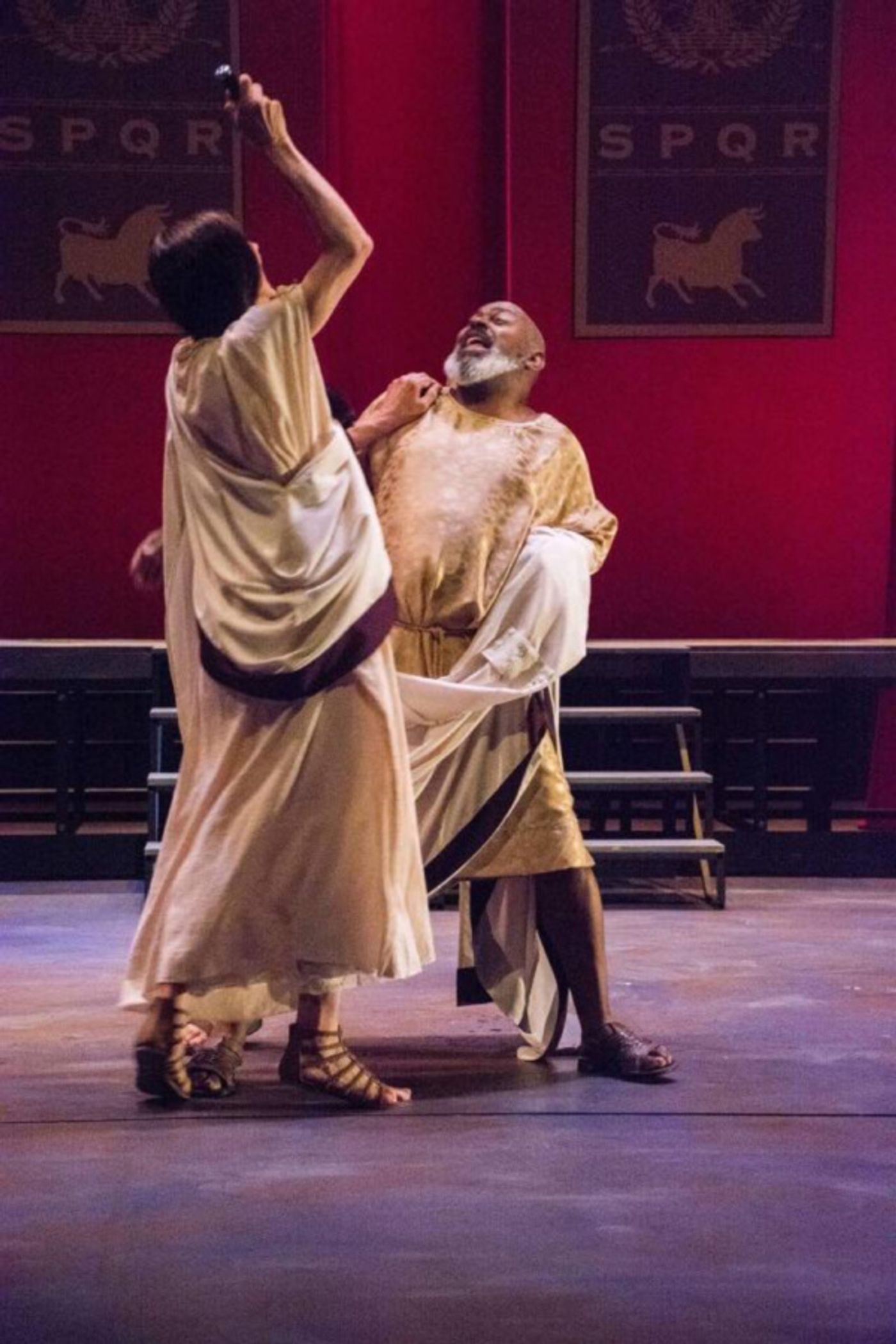 Photo Flash: First Look at JULIUS CAESAR at the Michigan Shakespeare Festival  Image