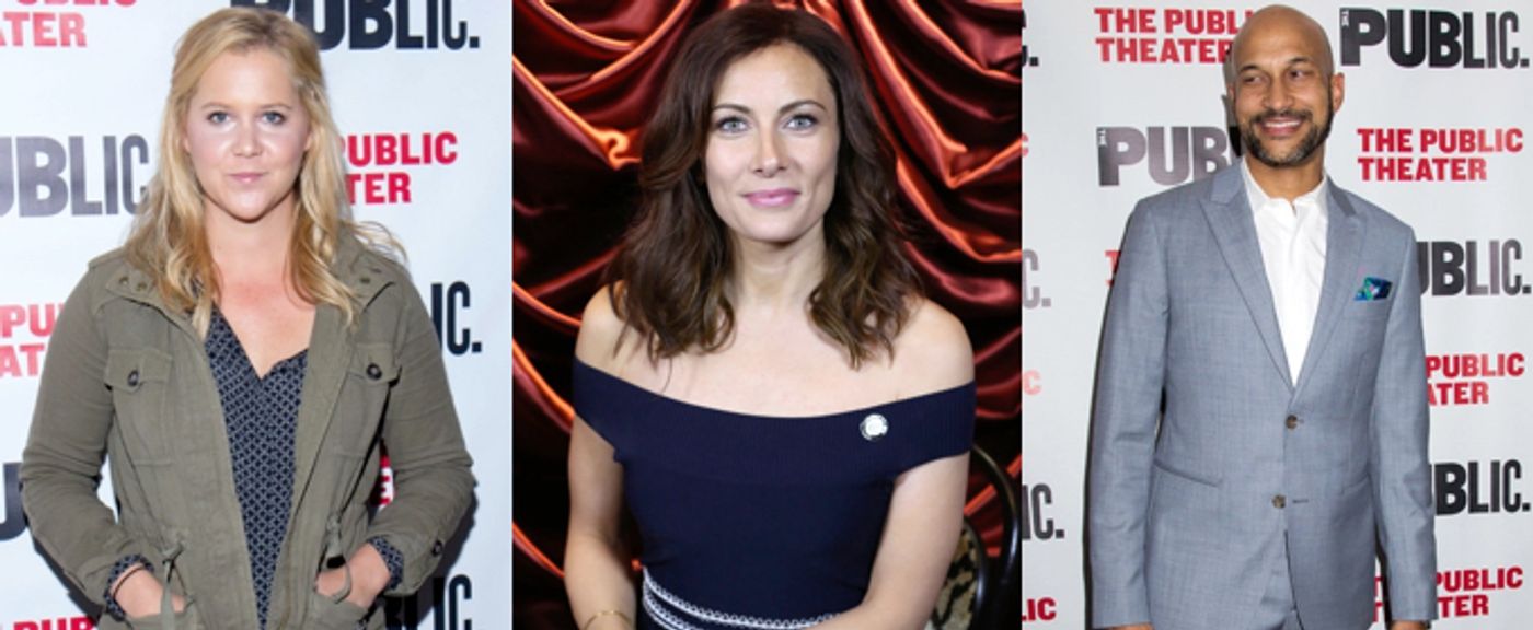 Breaking: Amy Schumer, Laura Benanti, Keegan-Michael Key, and Alan Tudyk to Lead Steve Martin's METEOR SHOWER on Broadway  Image