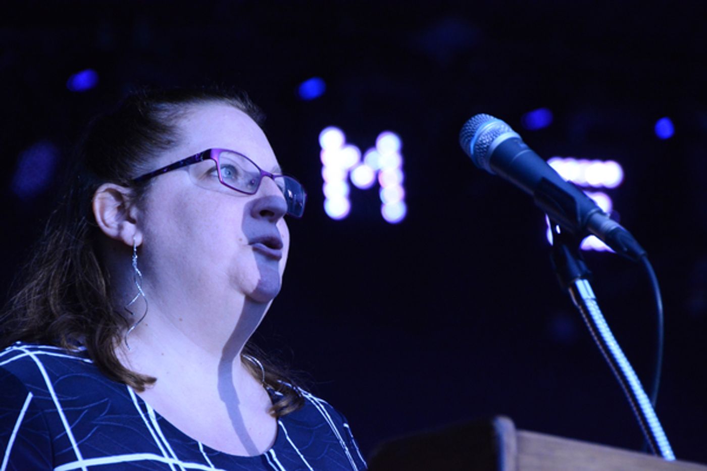 Photo Coverage: NEIL BERG's 100 YEARS OF BROADWAY at The Harry Chapin Lakeside Theater Photo Coverage: NEIL BERG's 100 YEARS OF BROADWAY at The Harry Chapin Lakeside Theater Image