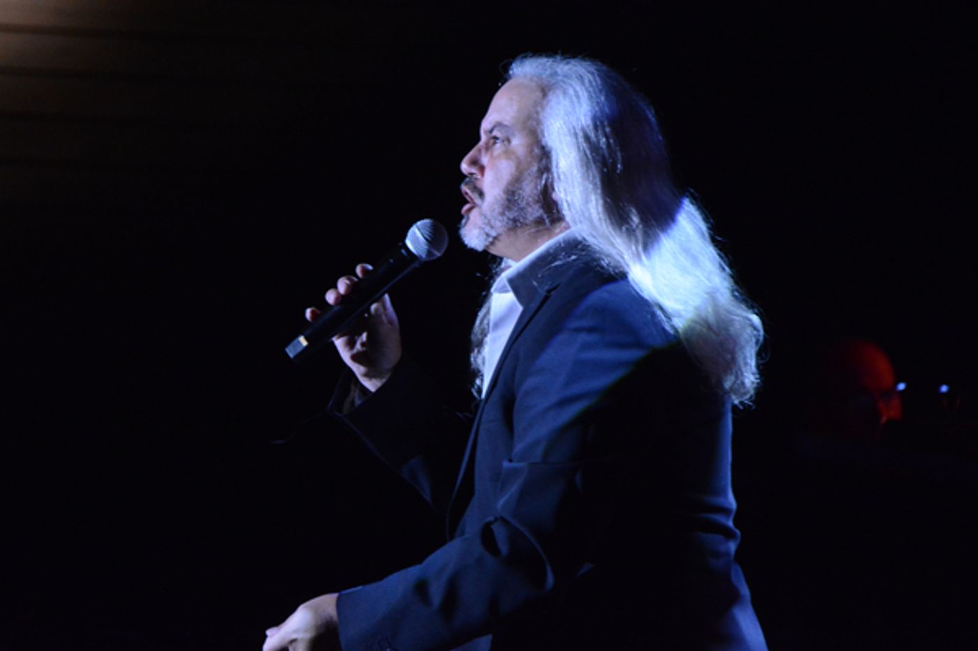 Photo Coverage: NEIL BERG's 100 YEARS OF BROADWAY at The Harry Chapin Lakeside Theater  Image