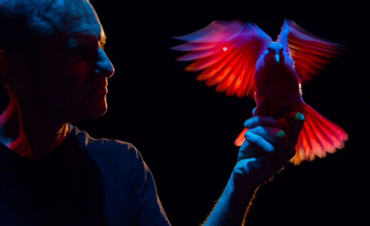 Photo Flash: Immersive Weekend of Amazement MAGICMANIA Set for Colony Theatre  Image