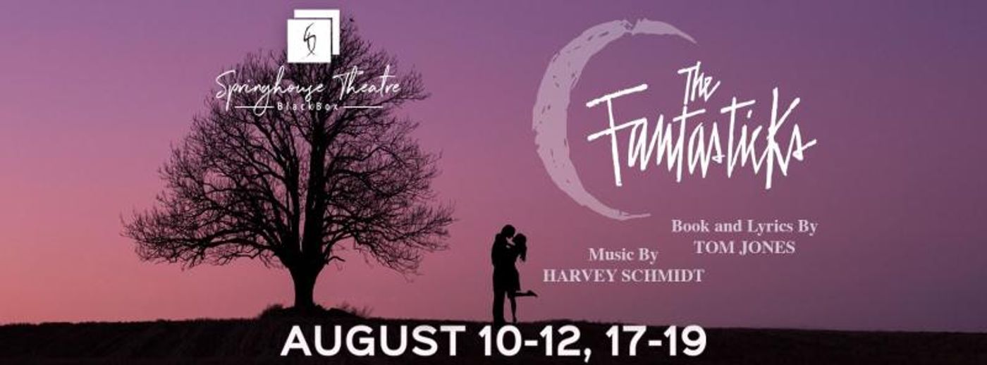 Review: Springhouse Theatre's Winsome Staging of THE FANTASTICKS  Image