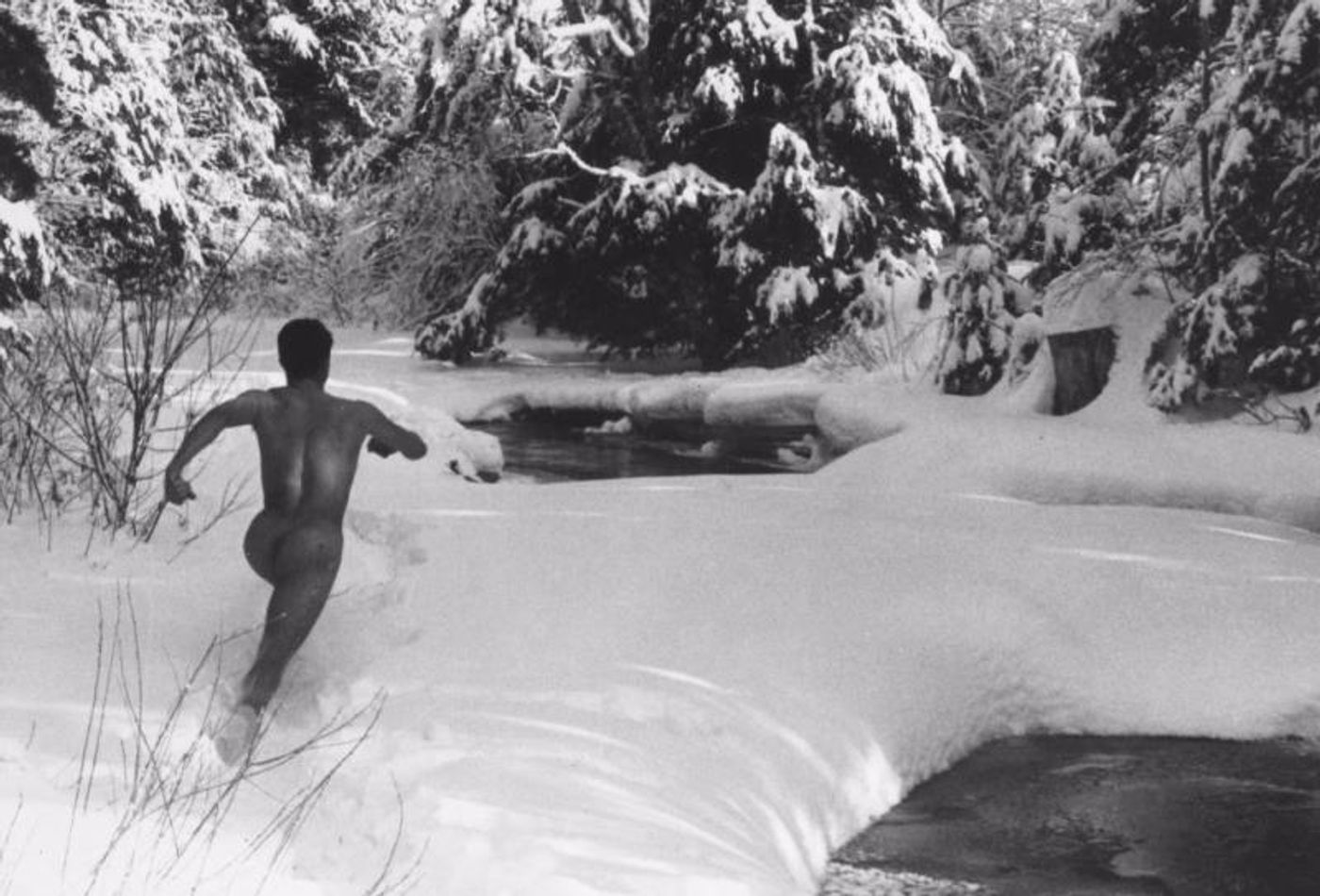 FSLC Announces Revivals Lineup for NYFF55  Image