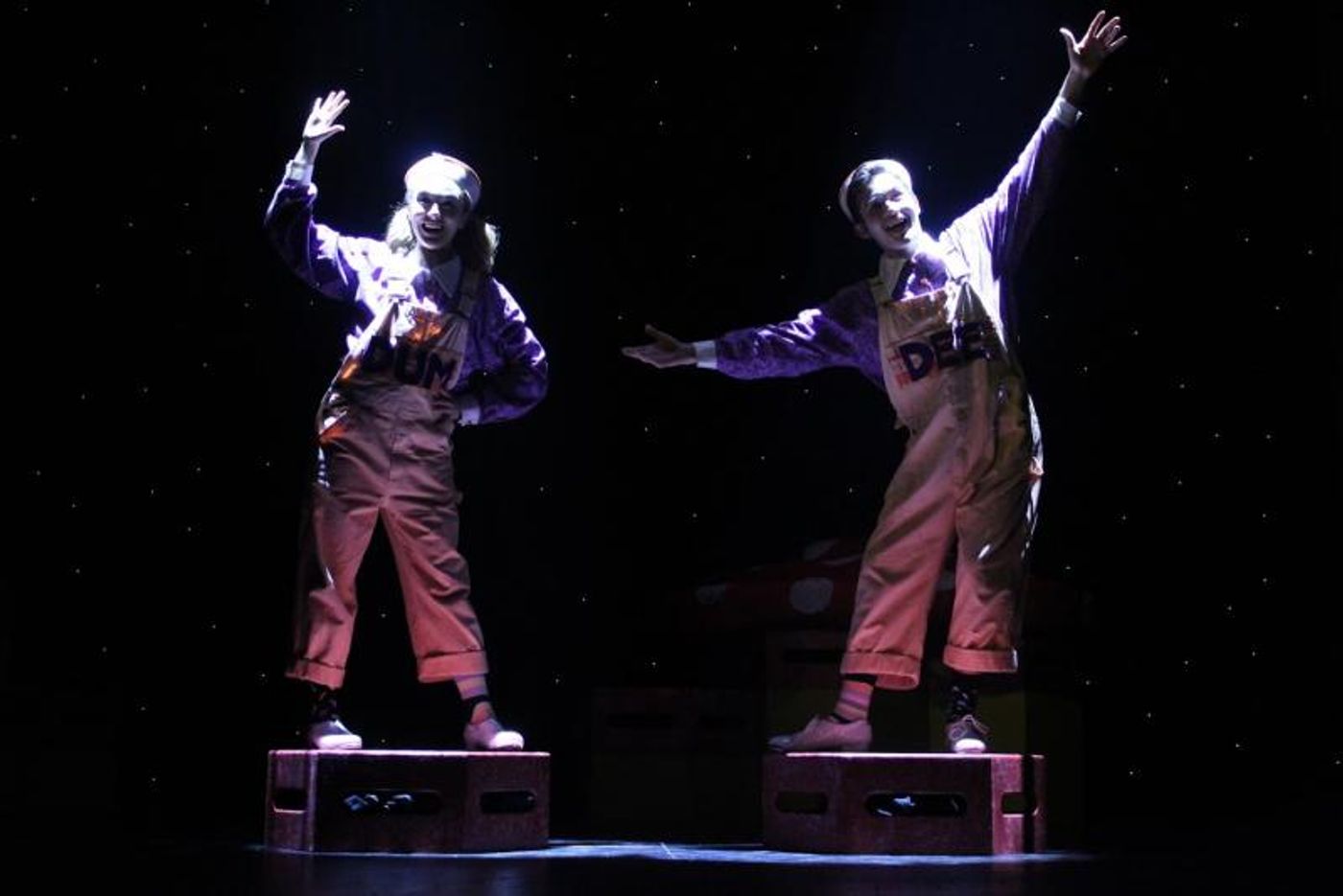 Review: A Place More Magical Than Dreams: MSMT's ALICE IN WONDERLAND Captivates Young and Old  Image