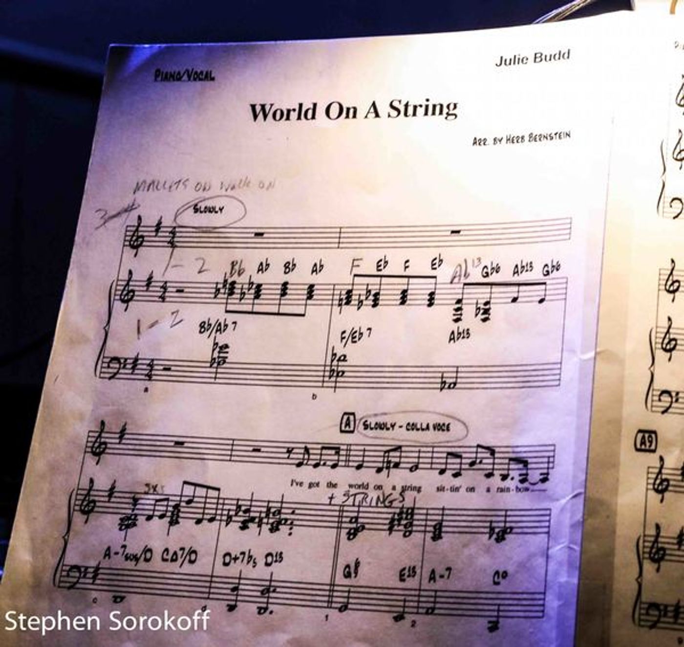 Photo Coverage: Julie Budd Remembers Mr. Sinatra at Mr. Finn's Cabaret  Image