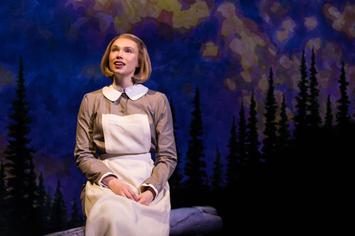 Photo Flash: Sneak Peek at THE SOUND OF MUSIC, Coming to Seattle This September  Image