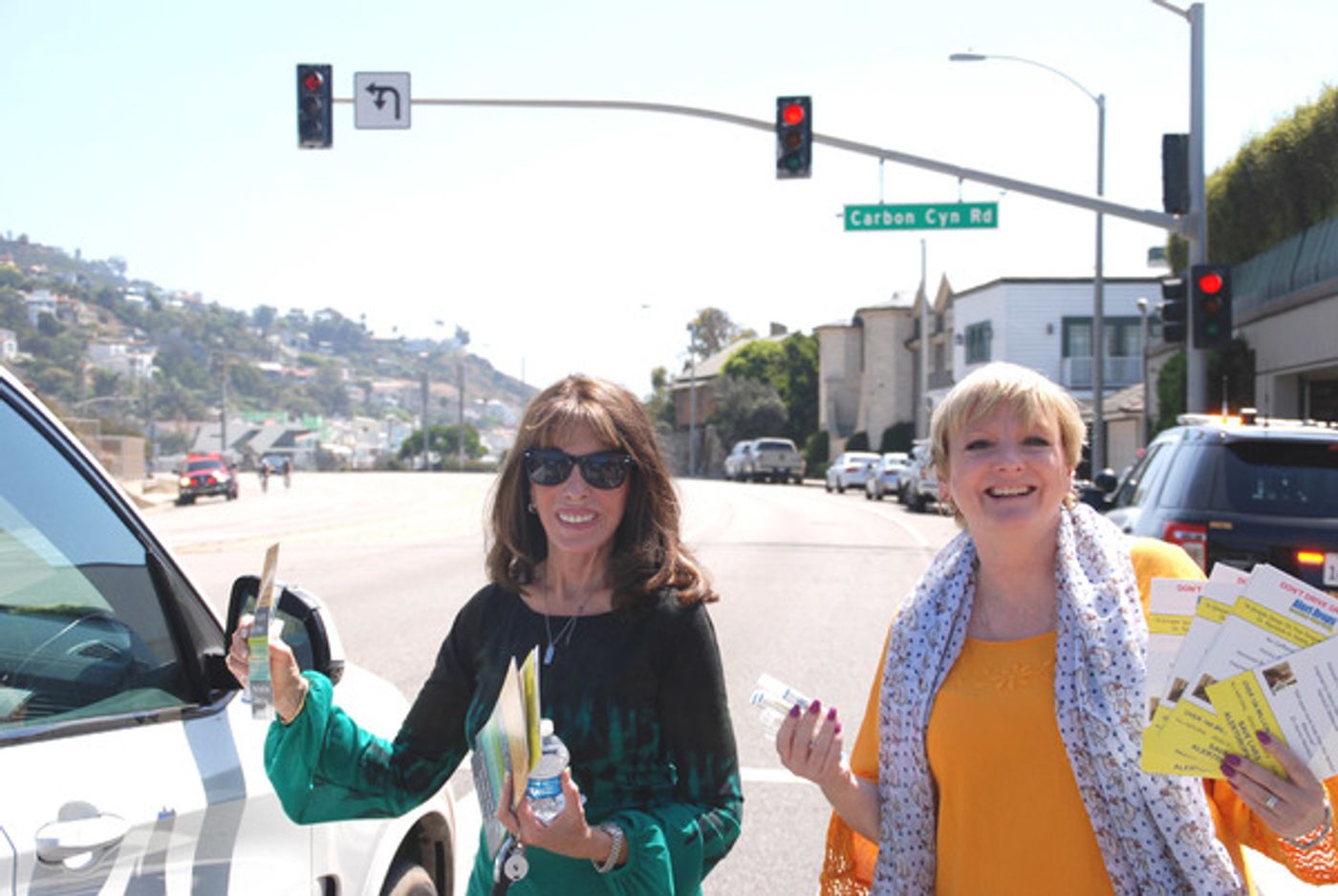 Photo Flash: Stage and Screen Personalities Gather To Save Lives  Image