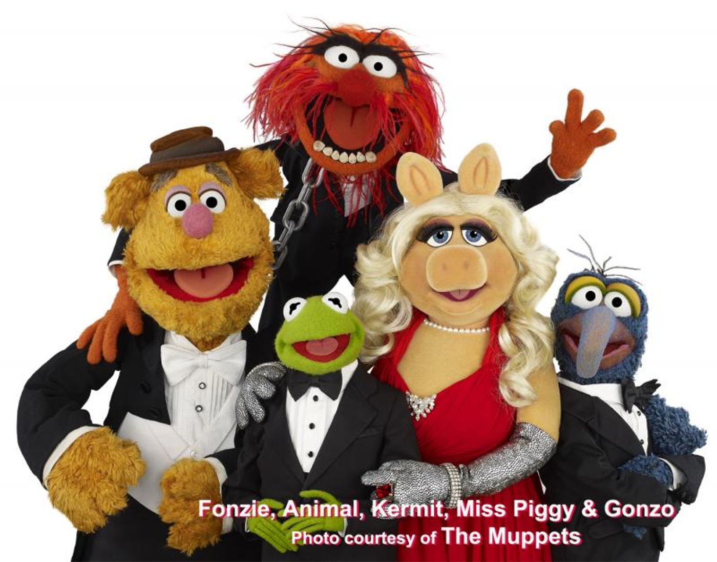 Interview: THE MUPPETS TAKE THE BOWL - & Take Over My Interview!  Image