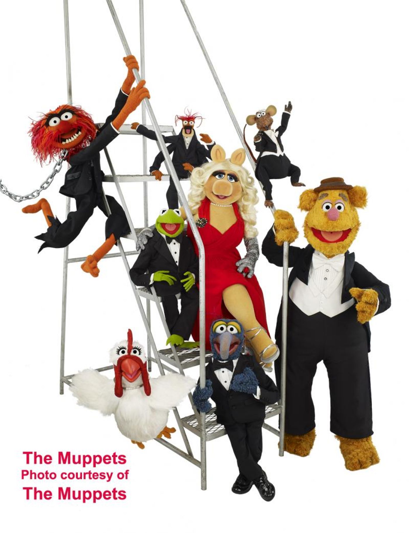 Interview: THE MUPPETS TAKE THE BOWL - & Take Over My Interview!  Image