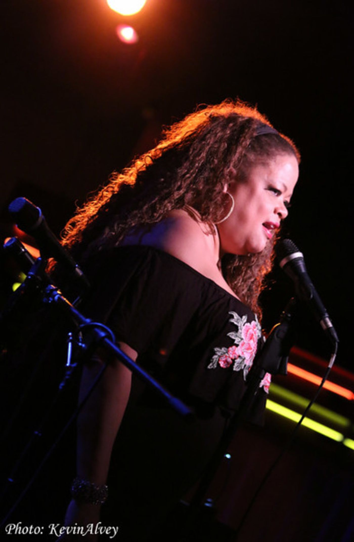 Photo Flash: Natalie Douglas Tributes Linda Ronstadt at Birdland  Image
