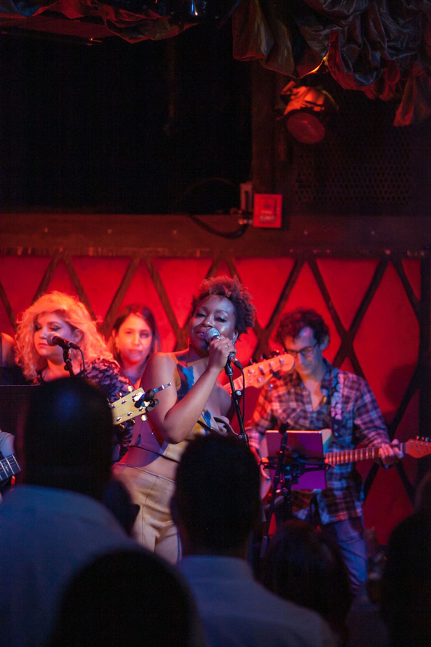 Photo Flash: Lyons & Pakchar Sell Out Rockwood Music Hall  Image