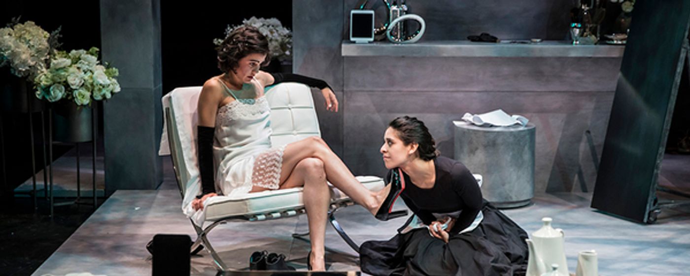 Photo Flash: THE MAIDS at American Players Theatre  Image