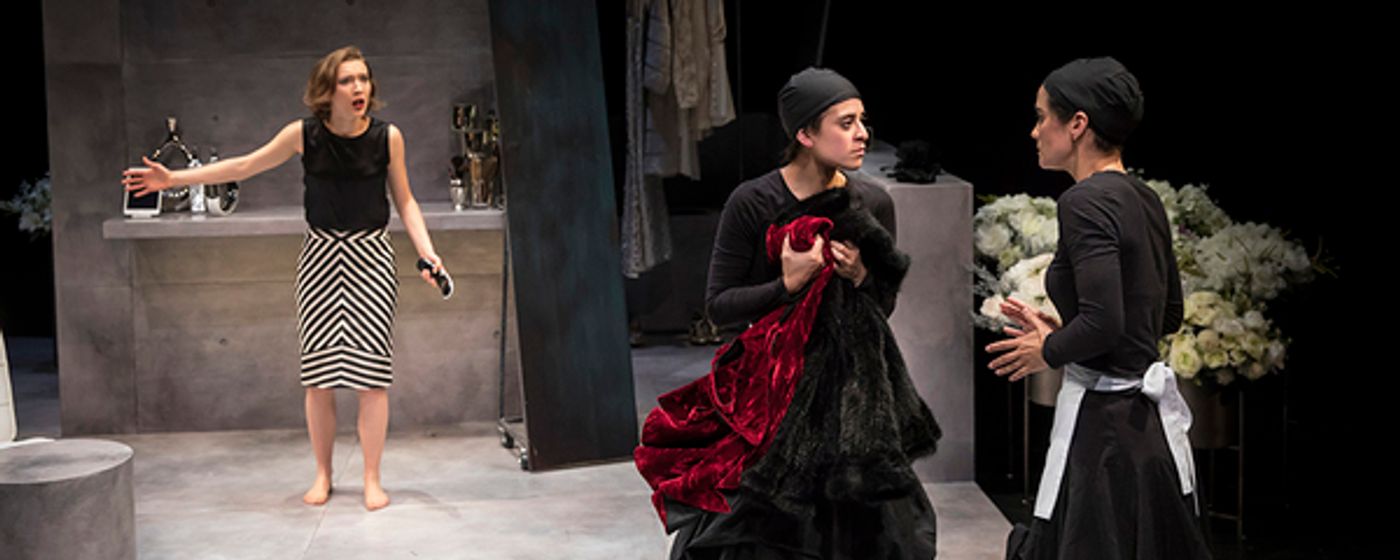 Photo Flash: THE MAIDS at American Players Theatre  Image