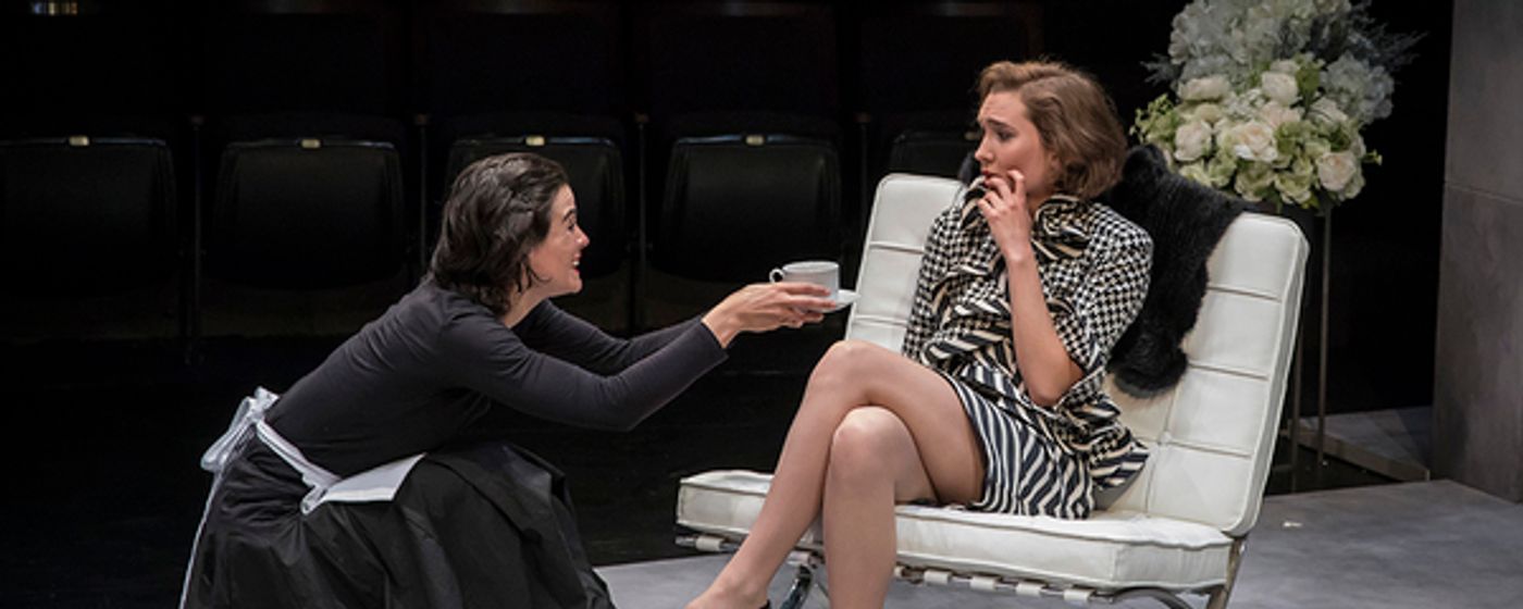 Photo Flash: THE MAIDS at American Players Theatre  Image