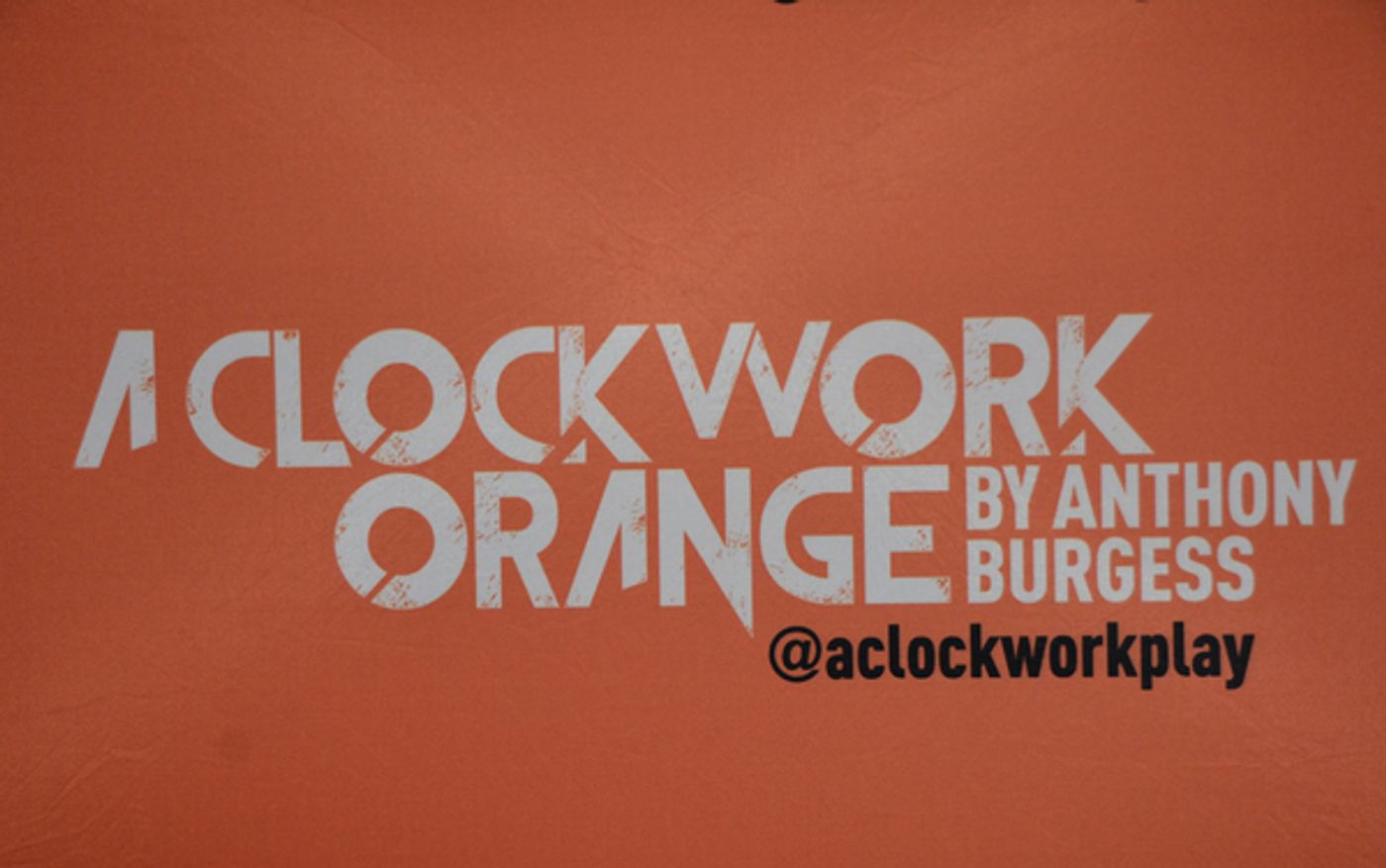 Photo Coverage: Meet the Cast of the New York Premiere of A CLOCKWORK ORANGE!  Image