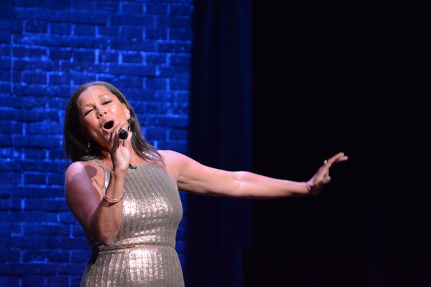Photo Coverage: VANESSA WILLIAMS An Intimate Evening of Song and Spirit at the Sheen Center  Image