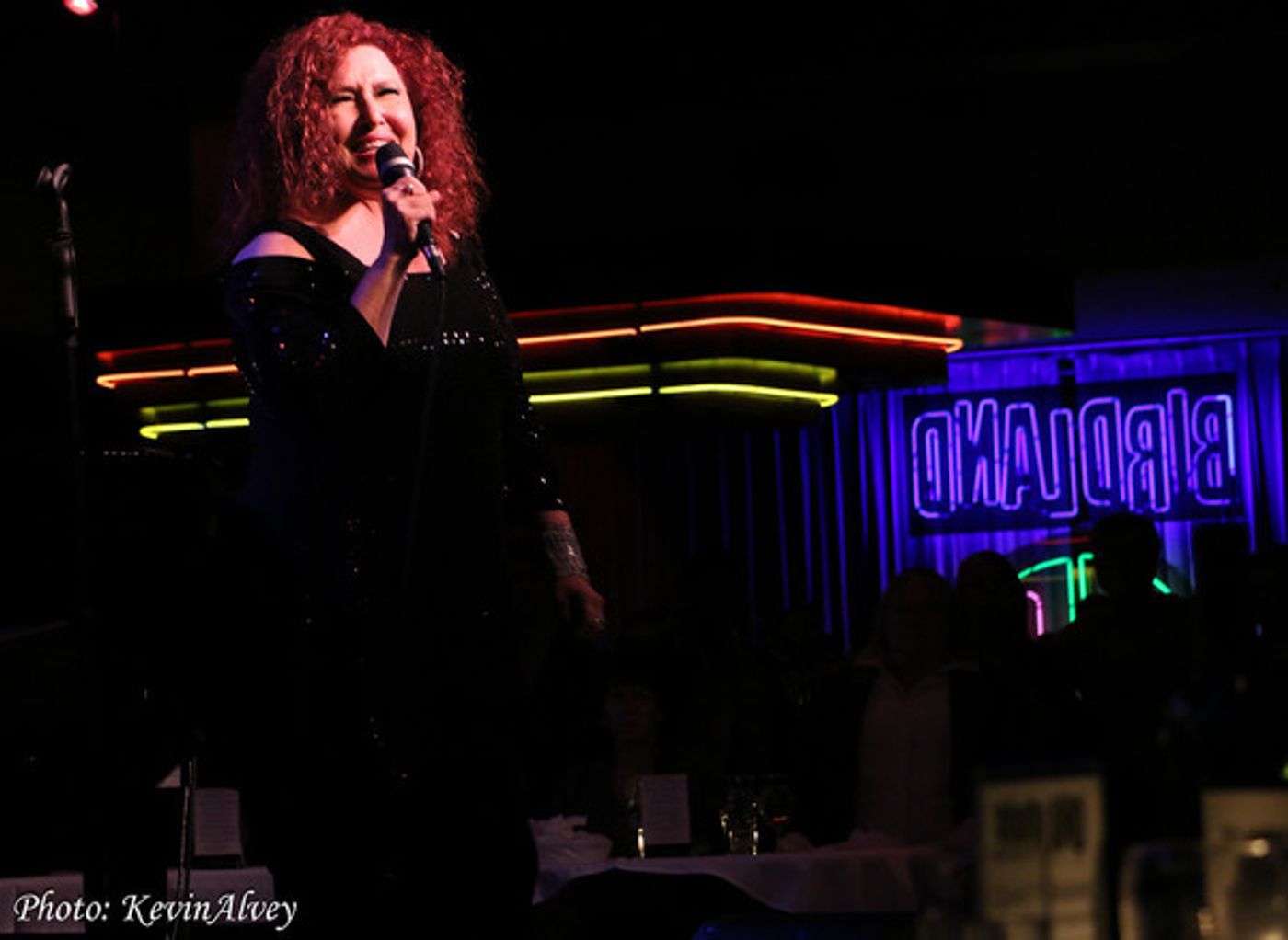 Photo Flash: BROADWAY AT BIRDLAND Series Welcomes Melissa Manchester  Image