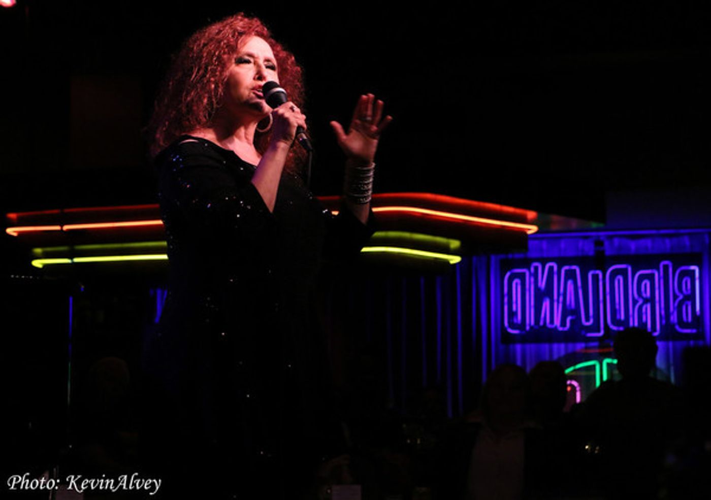 Photo Flash: BROADWAY AT BIRDLAND Series Welcomes Melissa Manchester  Image