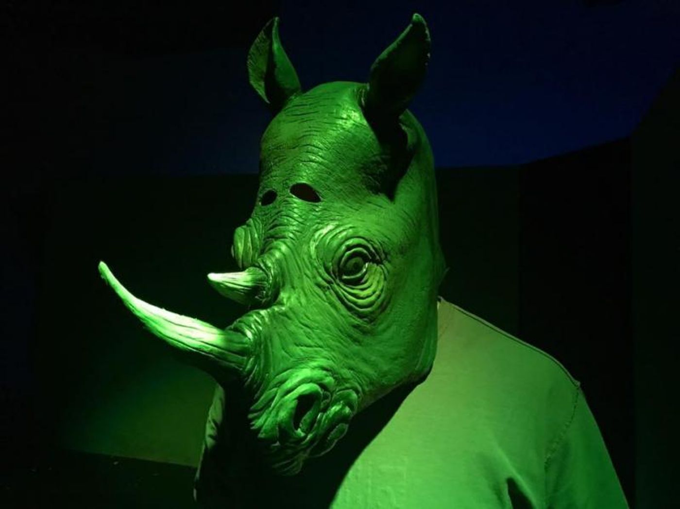 Review: The One Note Play Deflates This RHINOCEROS  Image