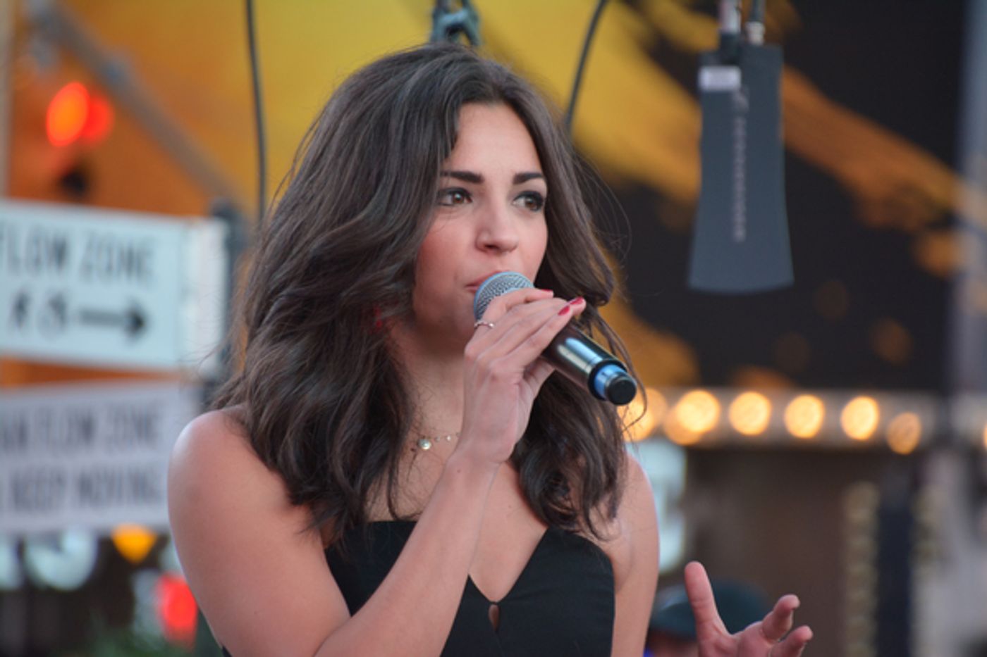 Photo Coverage: Lin-Manuel Miranda, Mandy Gonzalez and More Attend VIVA BROADWAY!  Image