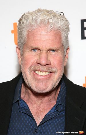 Ron Perlman  Photo