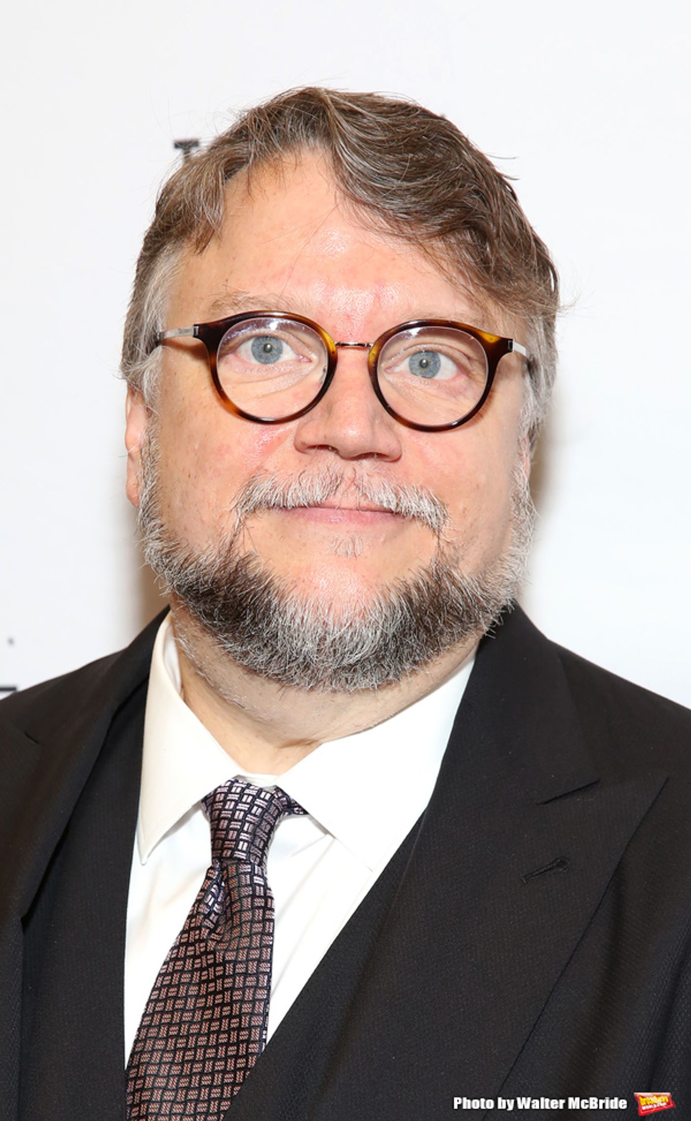 Photo Coverage: THE SHAPE OF WATER Premiere  Image