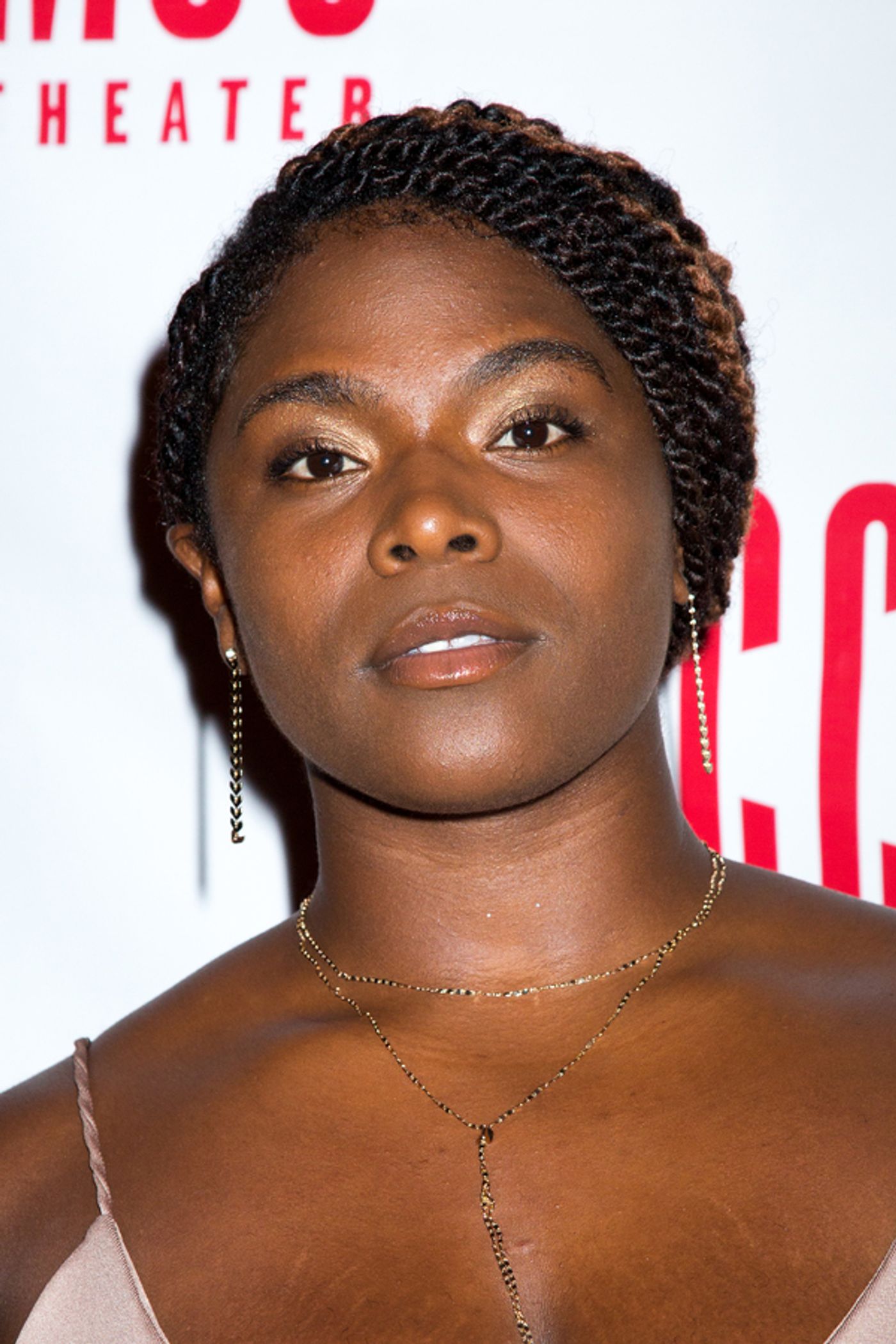 Photo Coverage: MCC's CHARM Celebrates Opening Night!  Image