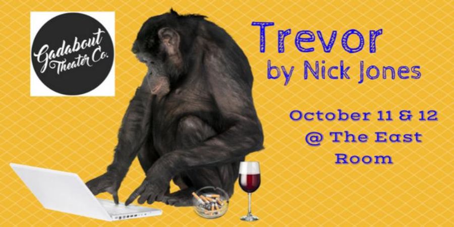 Gadabout Theatre Company Presents Nashville Premiere of TREVOR October 11 & 12 Image