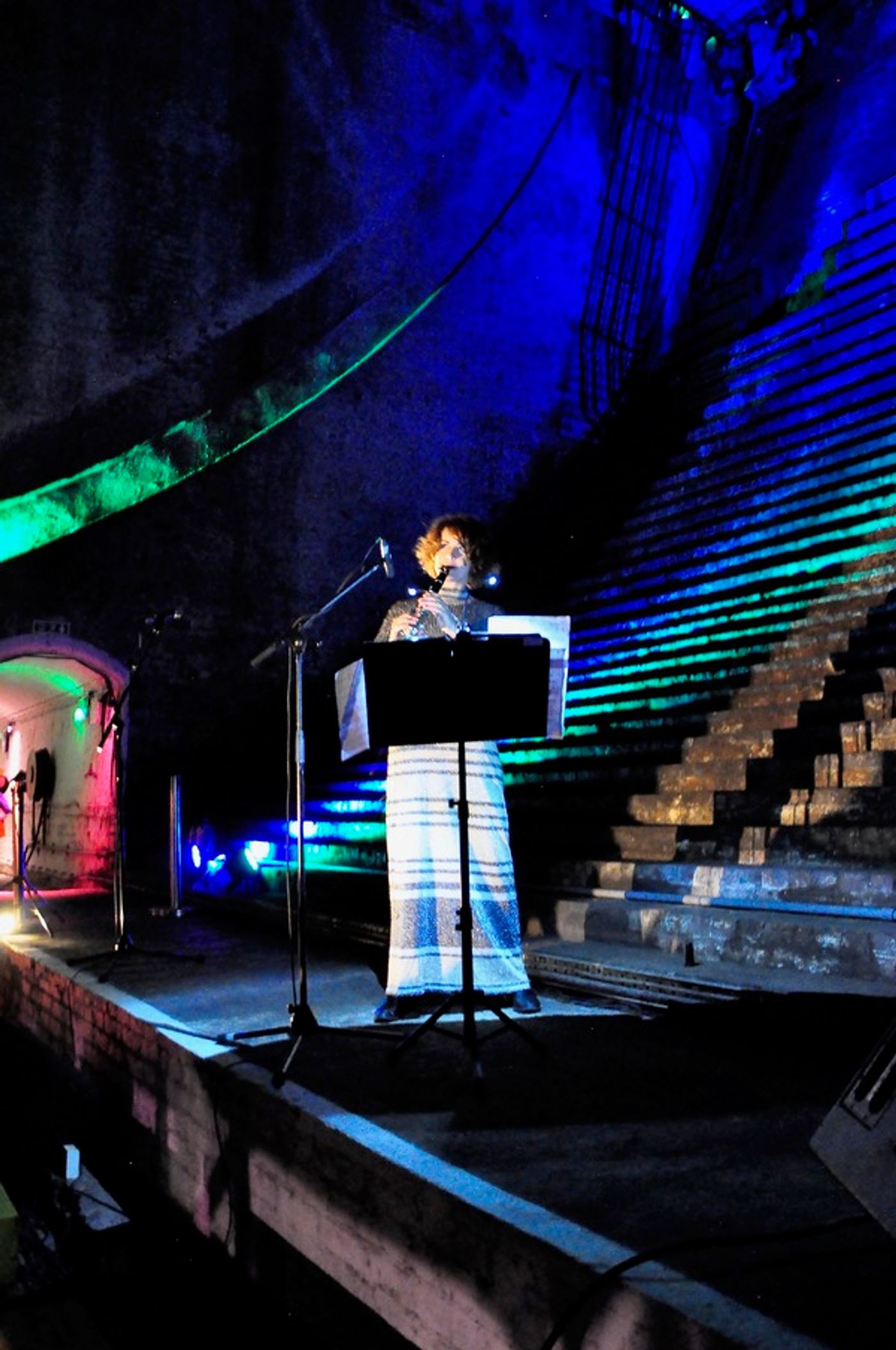 Photo Flash: Bascule Chamber Concerts Launch Beneath the River Thames  Image