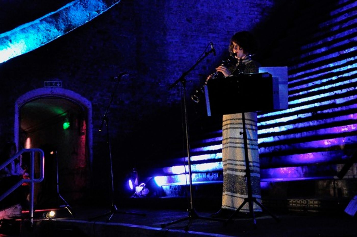 Photo Flash: Bascule Chamber Concerts Launch Beneath the River Thames  Image