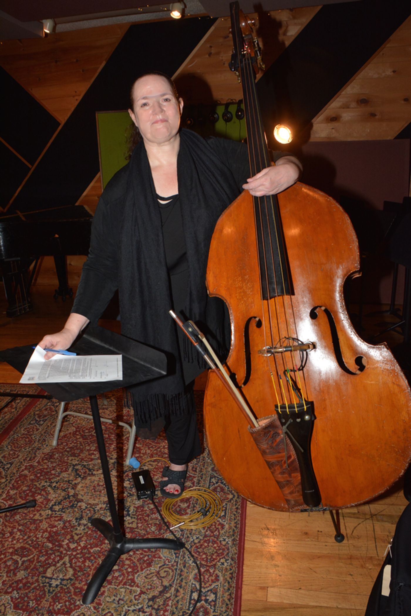 Exclusive Photo Coverage: Cast of PHANTOM OF THE OPERA Sings the Music of the Night for Carols For A Cure  Image