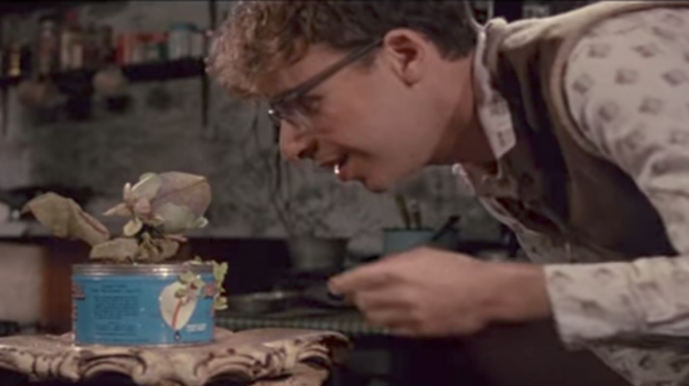 LITTLE SHOP OF HORRORS Returning to Theaters with Alternate Ending This October Image