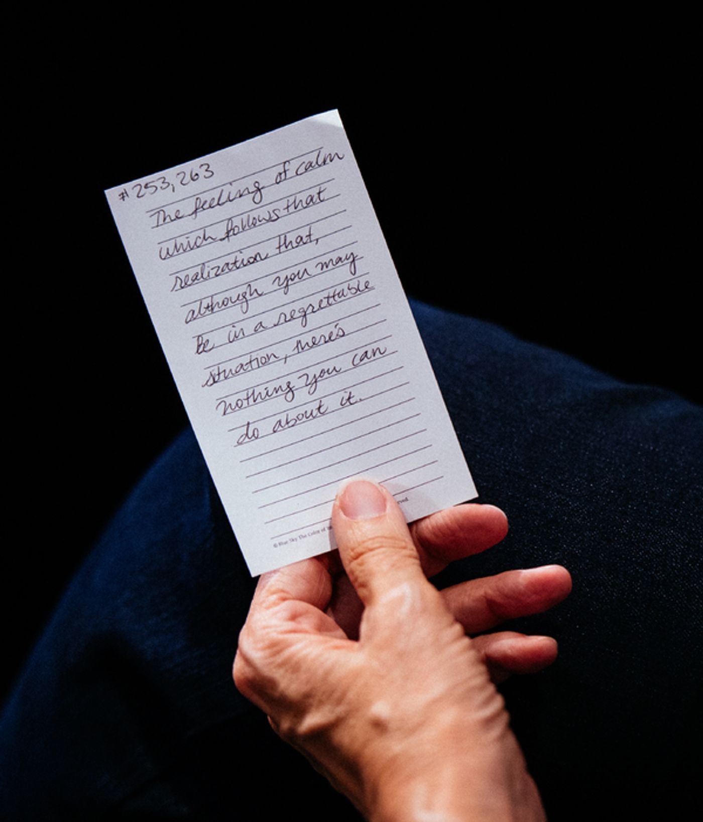 Photo Flash: EVERY BRILLIANT THING Opens Friday at the Amory  Image