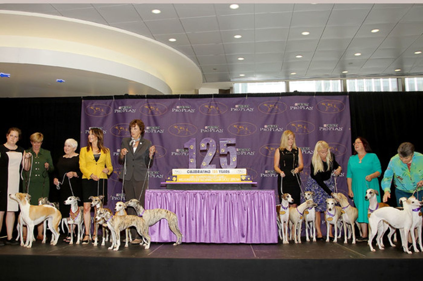 Photo Flash: Whippets Take Over the Garden to Celebrate 125 Years in Westminster Kennel Club Dog Show Photo Flash: Whippets Take Over the Garden to Celebrate 125 Years in Westminster Kennel Club Dog Show Image