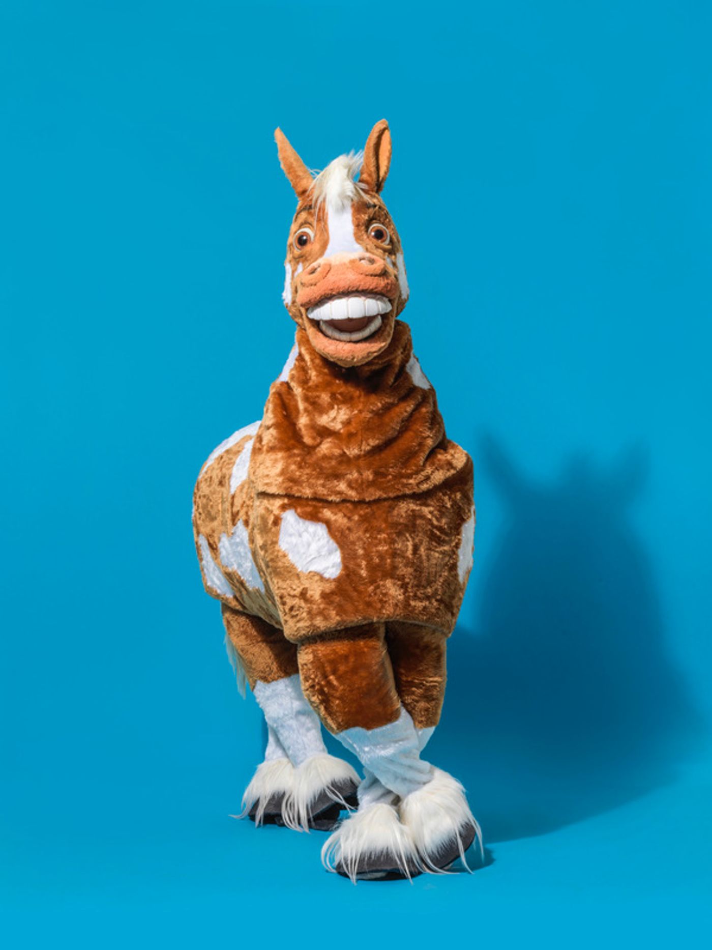 Photo Flash: Meet the Cast of Hackney Empire's 2017 Panto CINDERELLA, Starring Aisha Jawando Photo Flash: Meet the Cast of Hackney Empire's 2017 Panto CINDERELLA, Starring Aisha Jawando Image