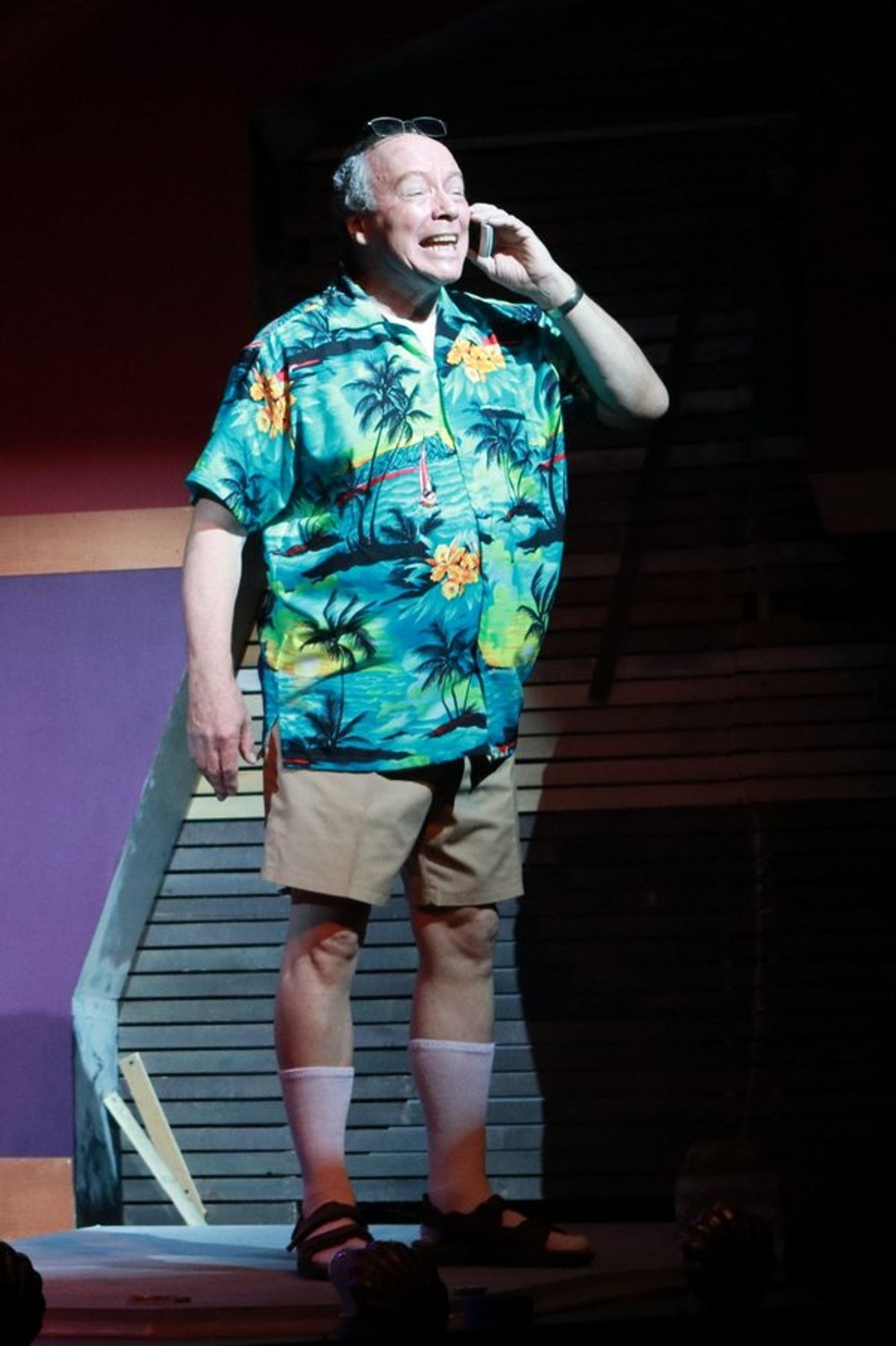 Photo Flash: First Look at I HATE MUSICALS at Ivoryton Playhouse  Image