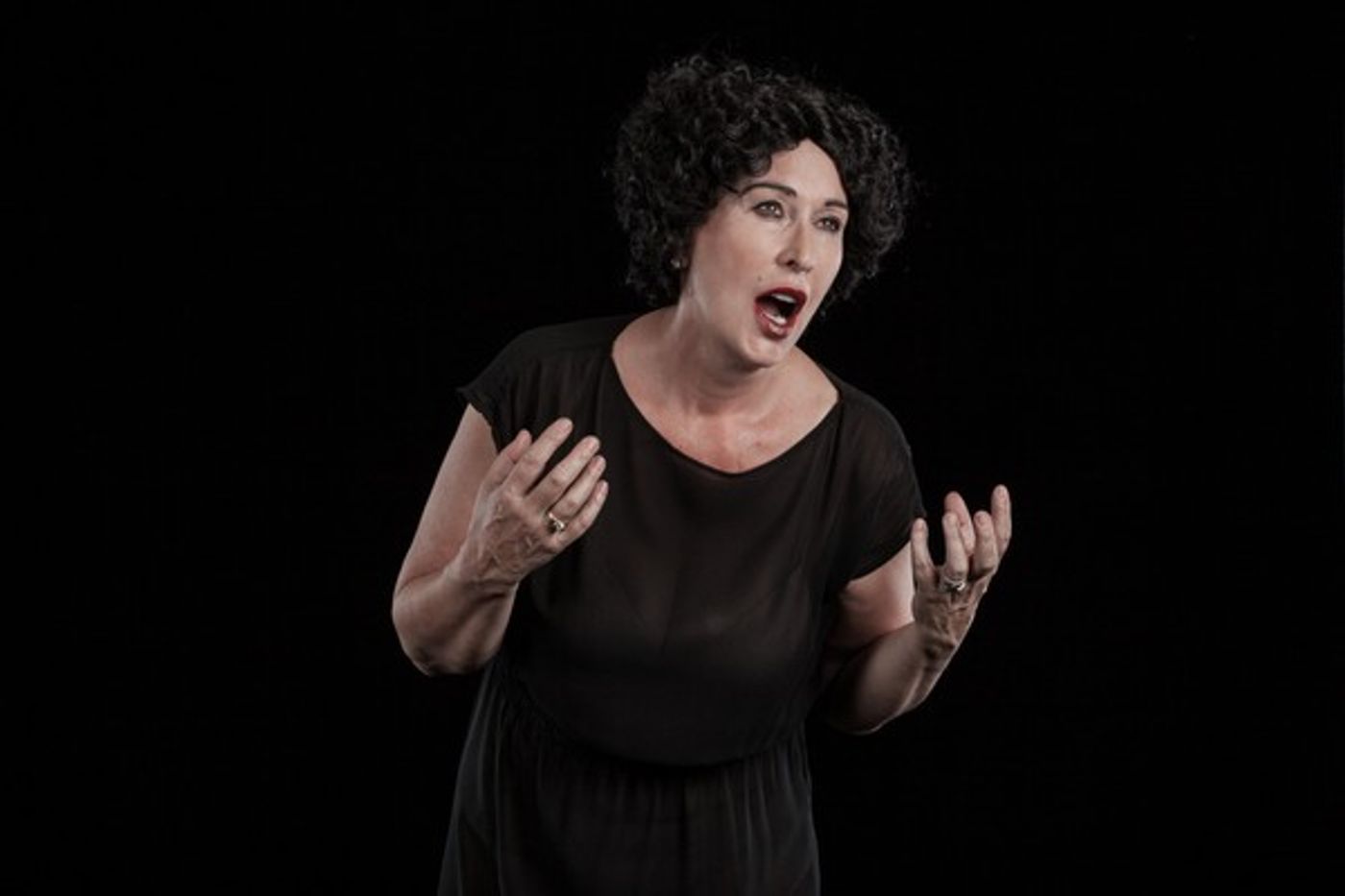 Photo Coverage: AS DROME VLERKE KRY Wings Its Way to Aardklop  Image