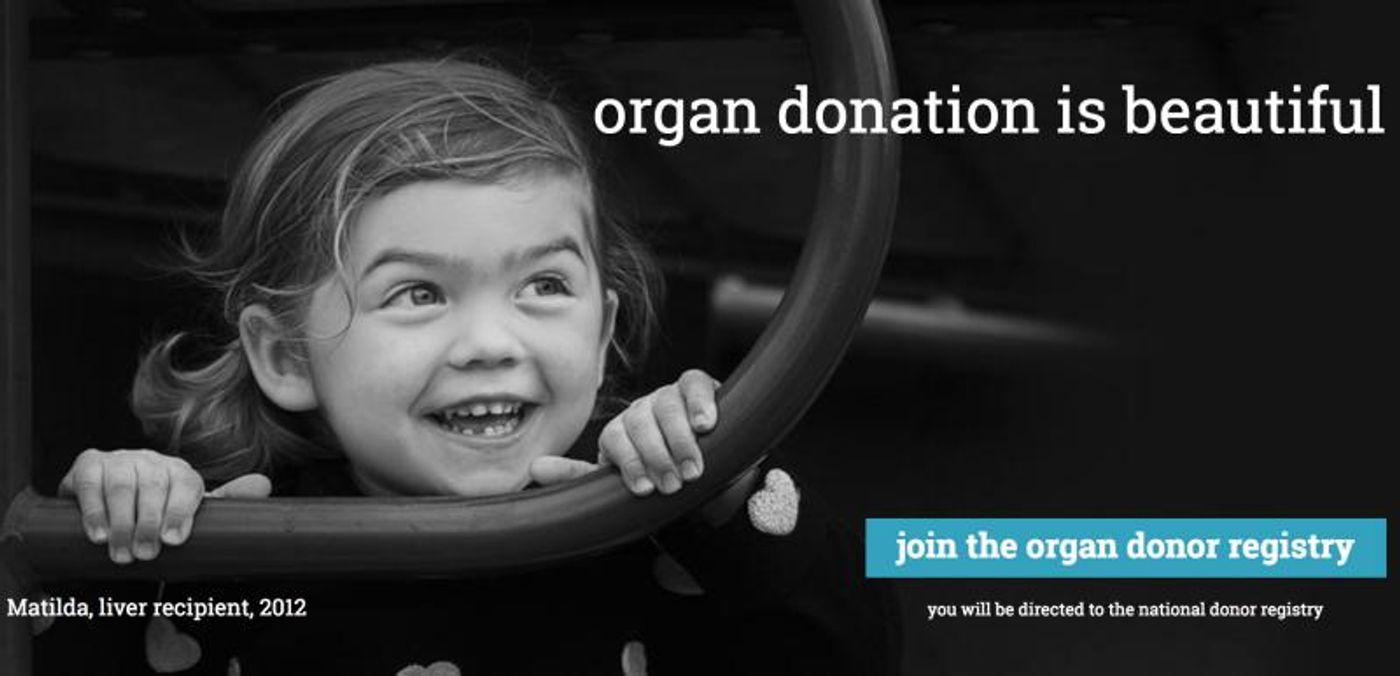 Hayley Podschun Is Rallying Her Broadway Troops to Raise Organ Donation Awareness - Register Today!  Image