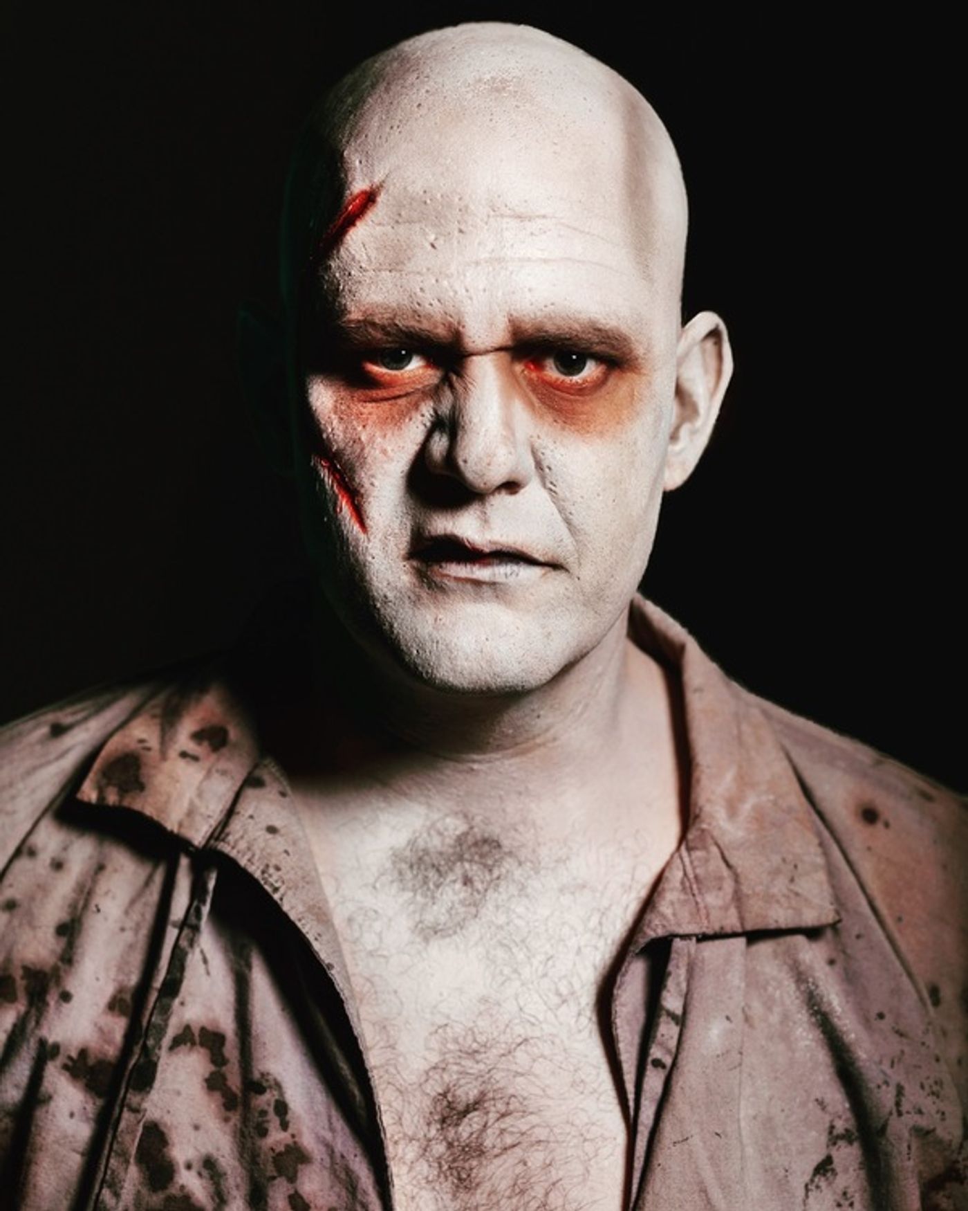 Photo Flash: Sneak Peek at Theater Works' FRANKENSTEIN, Opening Today the 13th!  Image