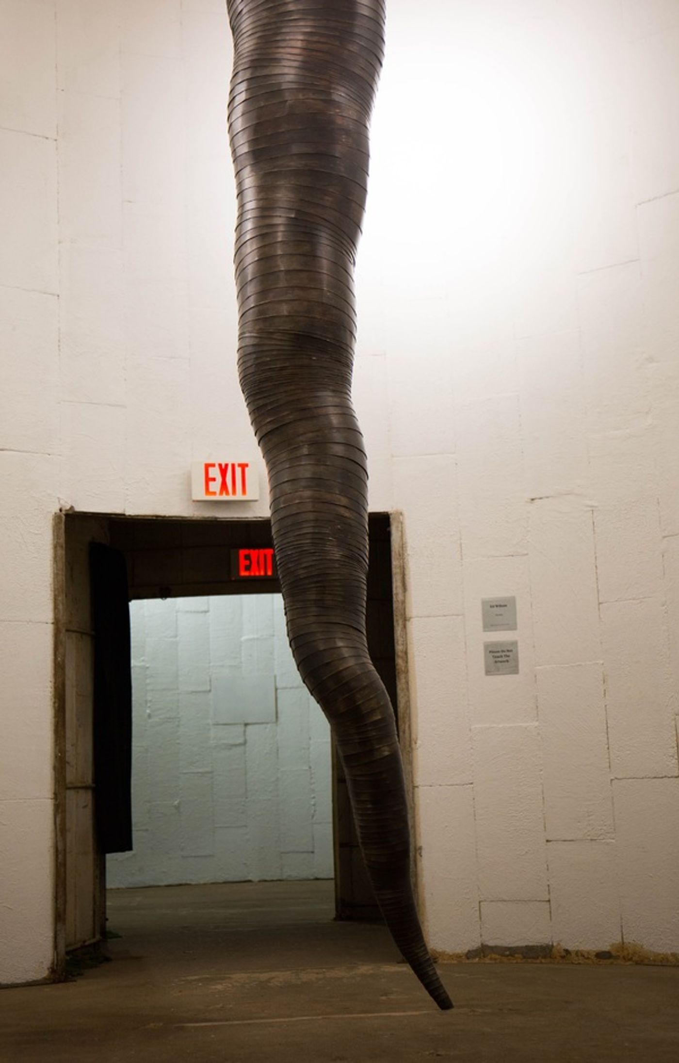 Photo Flash: Sculpture Month Houston Curates Show at SITE Gallery Houston  Image