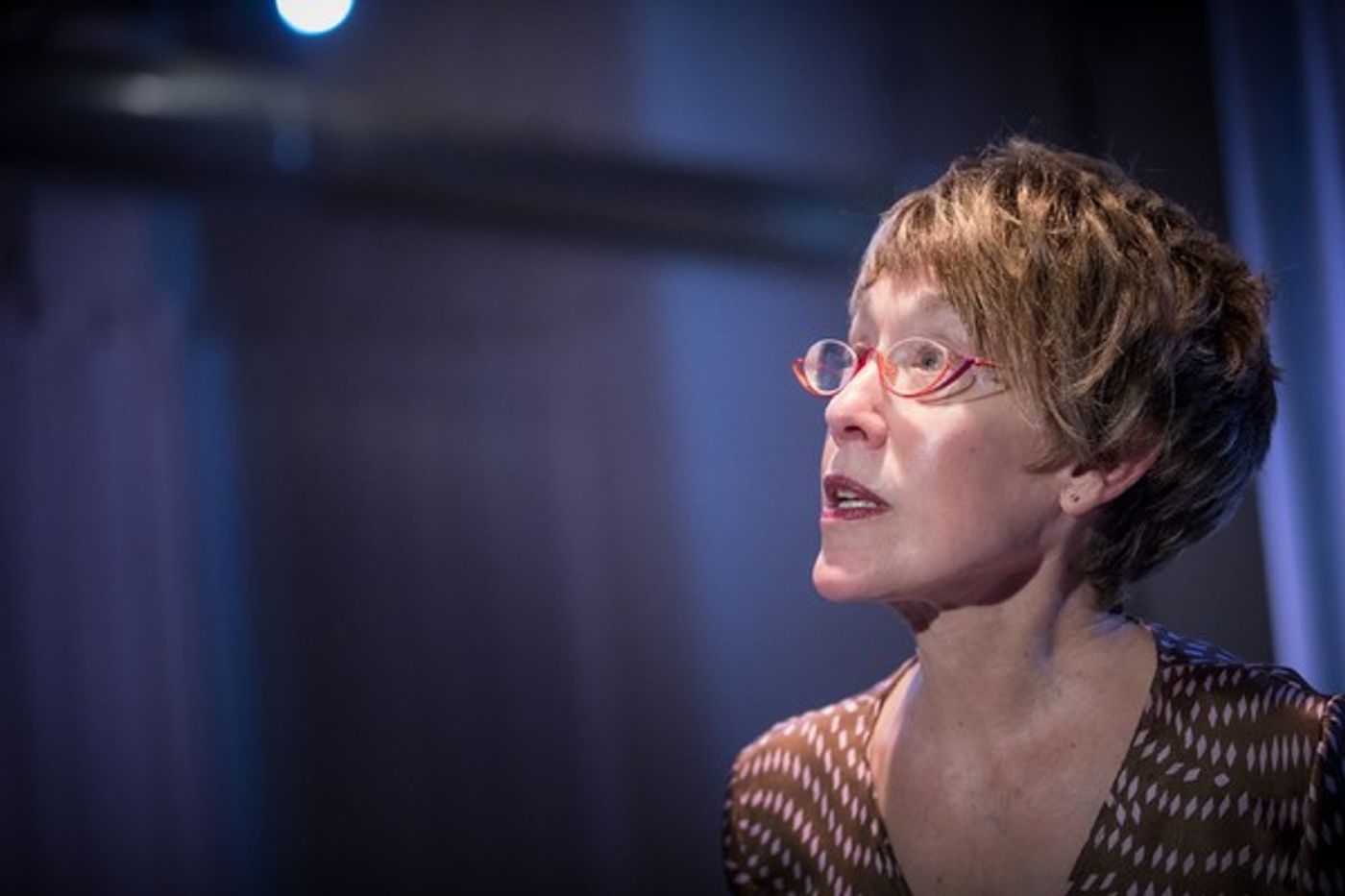 Photo Flash: Danna Schaeffer's One Woman Show YOU IN MIDAIR Premieres  Image