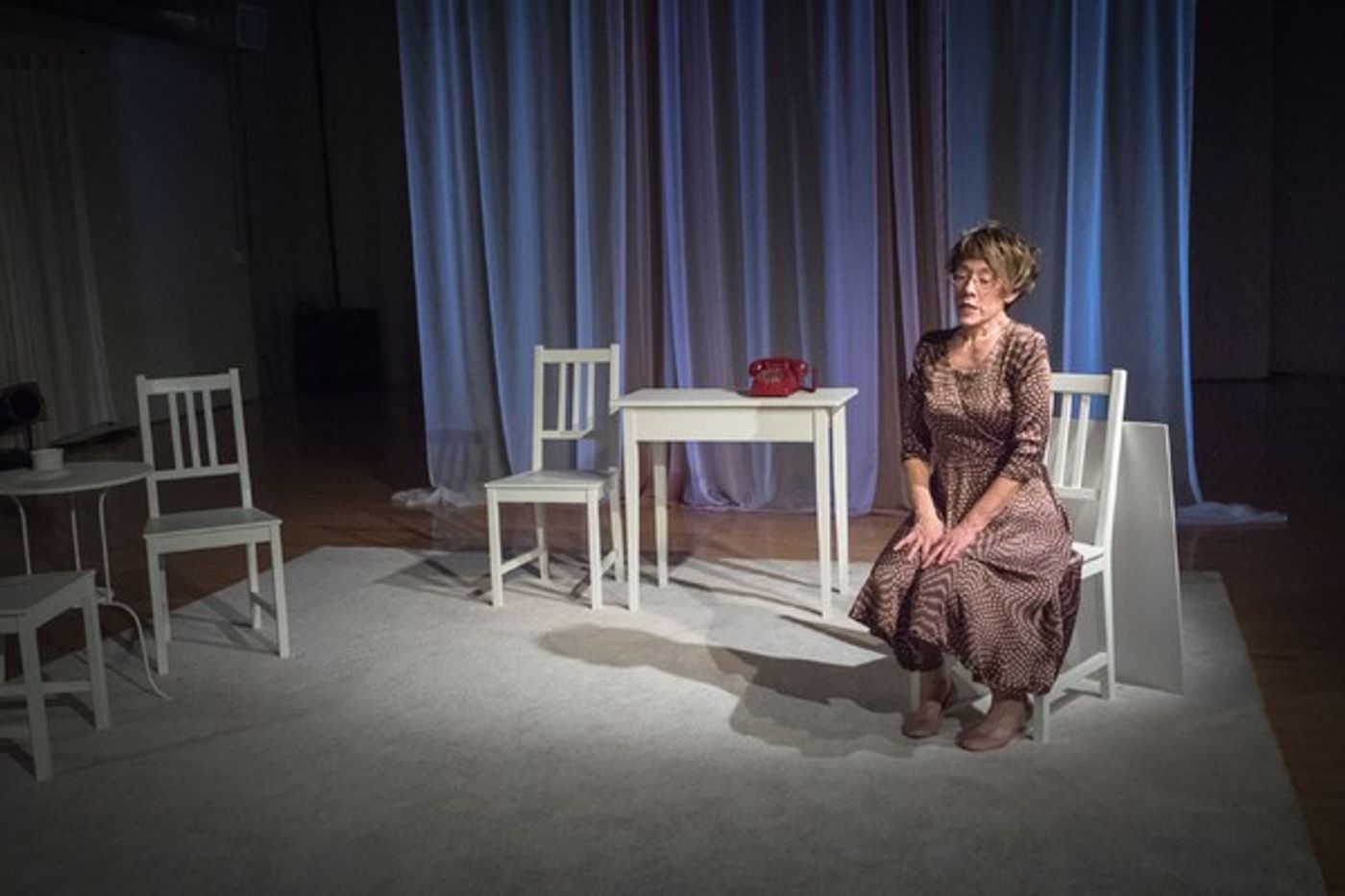 Photo Flash: Danna Schaeffer's One Woman Show YOU IN MIDAIR Premieres  Image