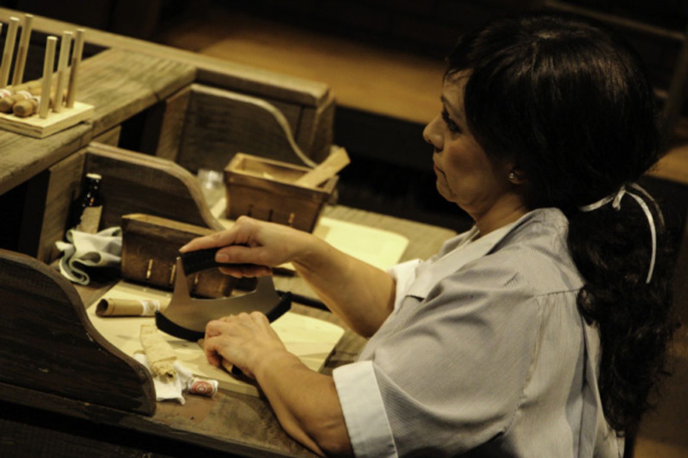 Photo Flash: First Look at Manatee Performing Arts Center's ANNA IN THE TROPICS  Image