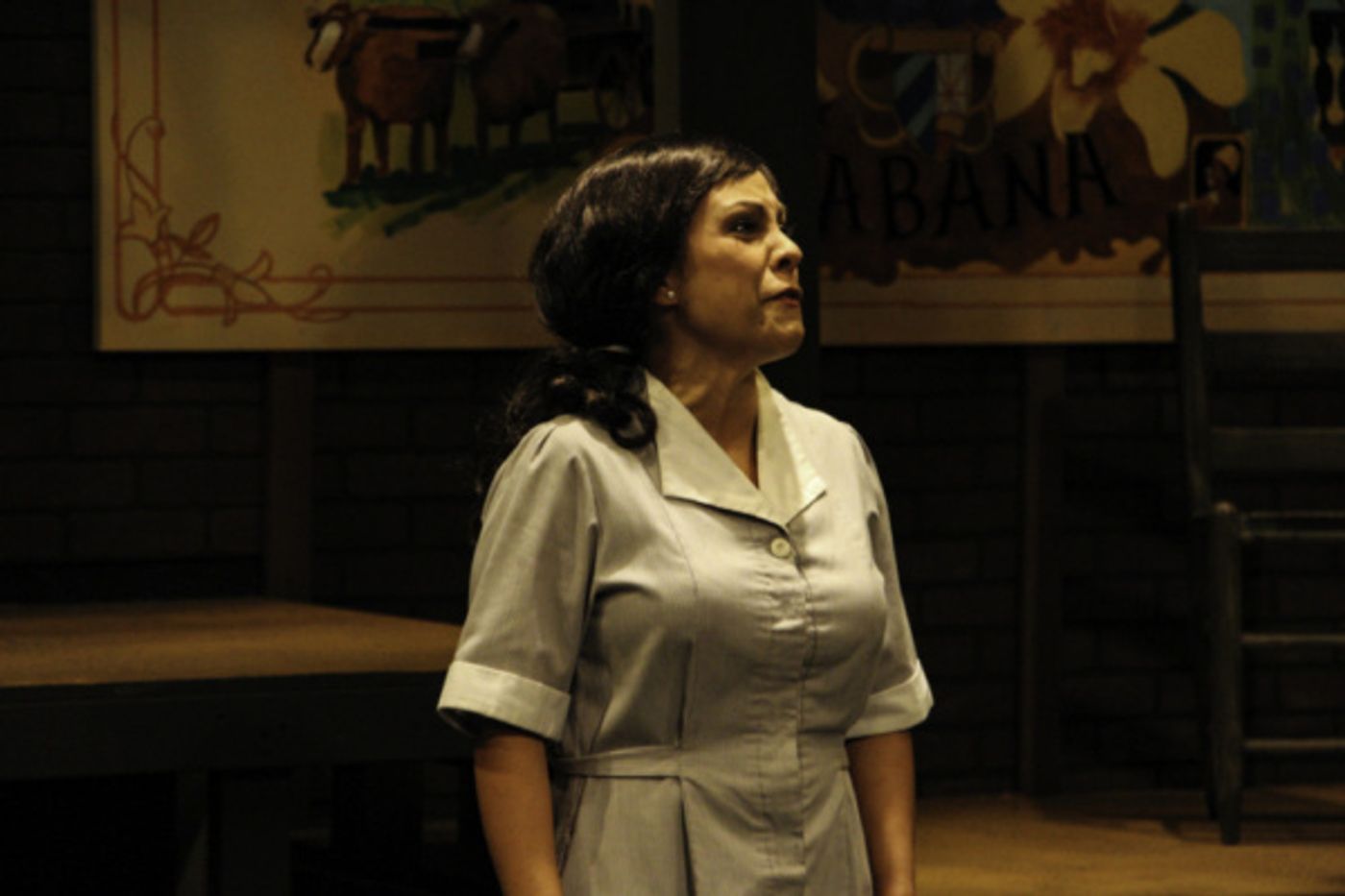 Photo Flash: First Look at Manatee Performing Arts Center's ANNA IN THE TROPICS  Image
