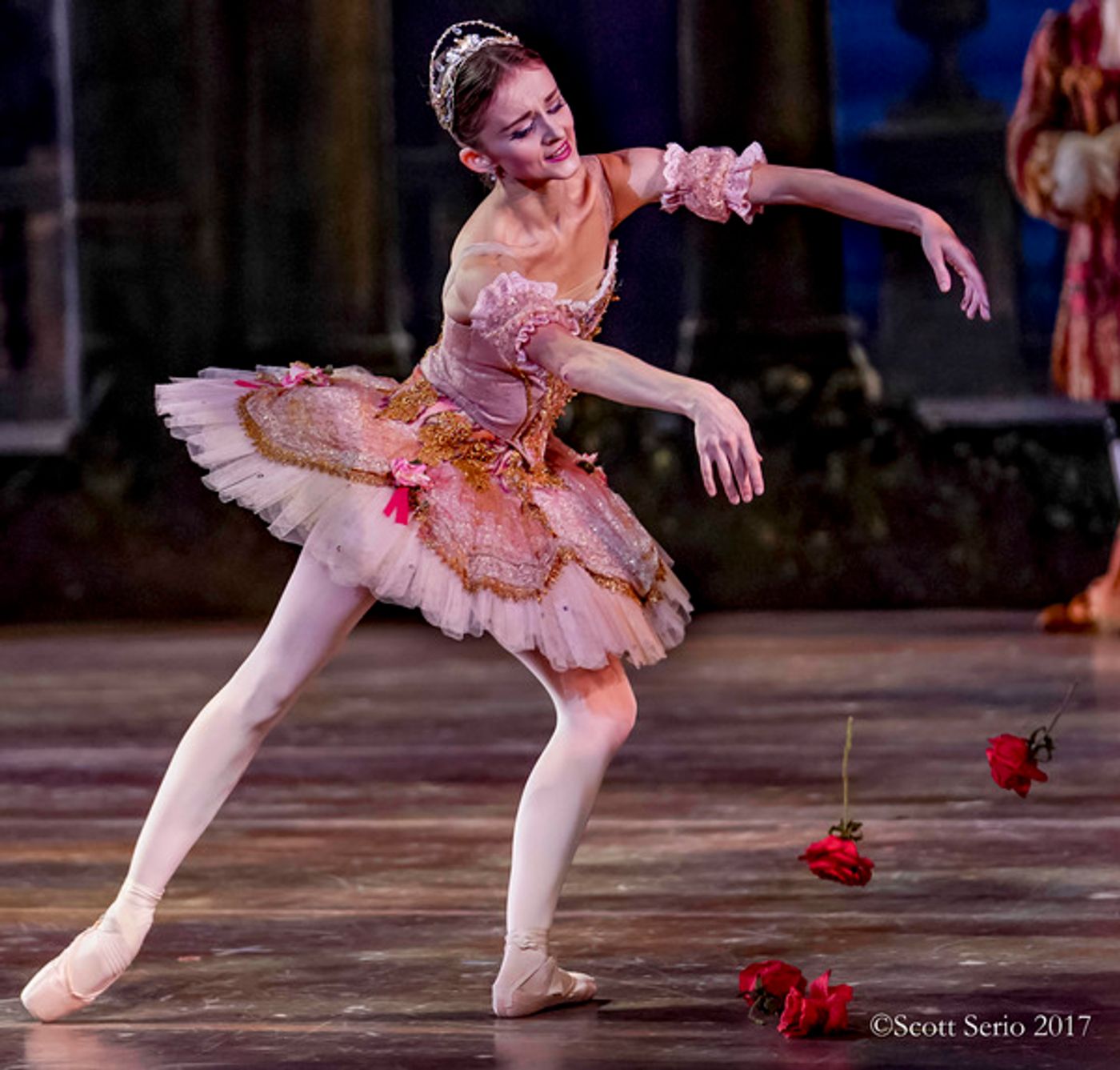 BWW Previews: SLEEPING BEAUTY at Academy Of Music Image
