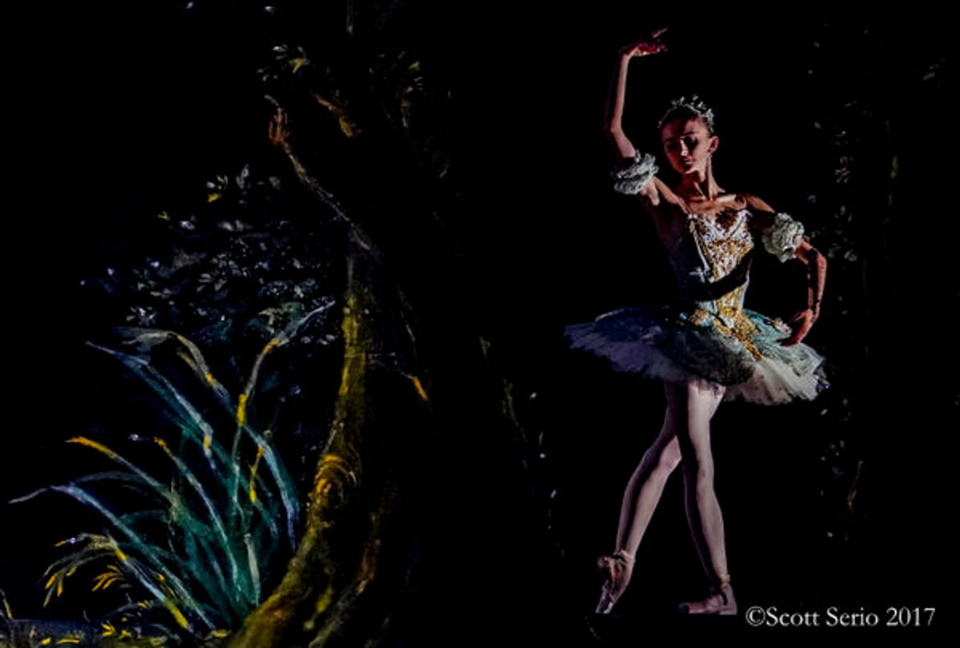 BWW Previews: SLEEPING BEAUTY at Academy Of Music Image