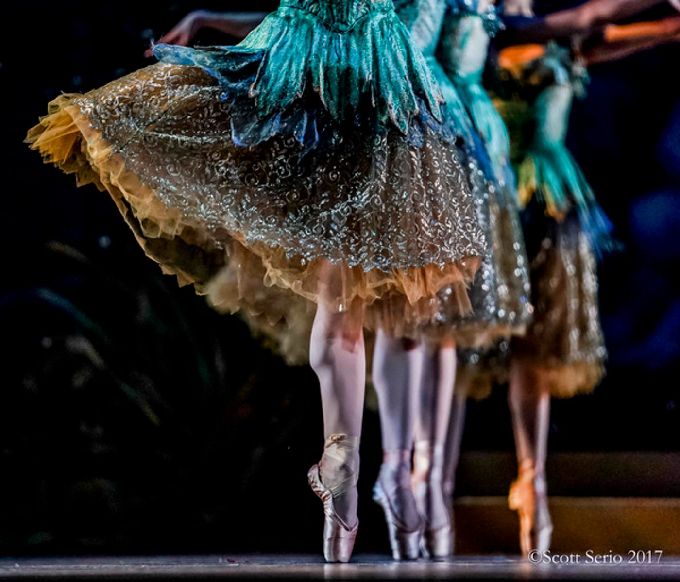 BWW Previews: SLEEPING BEAUTY at Academy Of Music Image