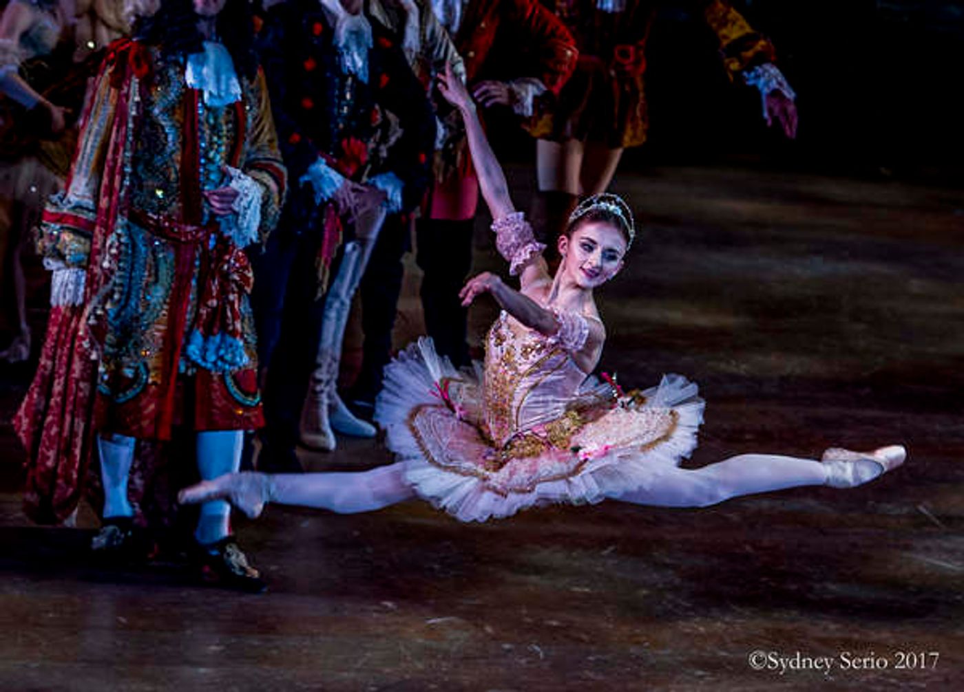BWW Previews: SLEEPING BEAUTY at Academy Of Music Image