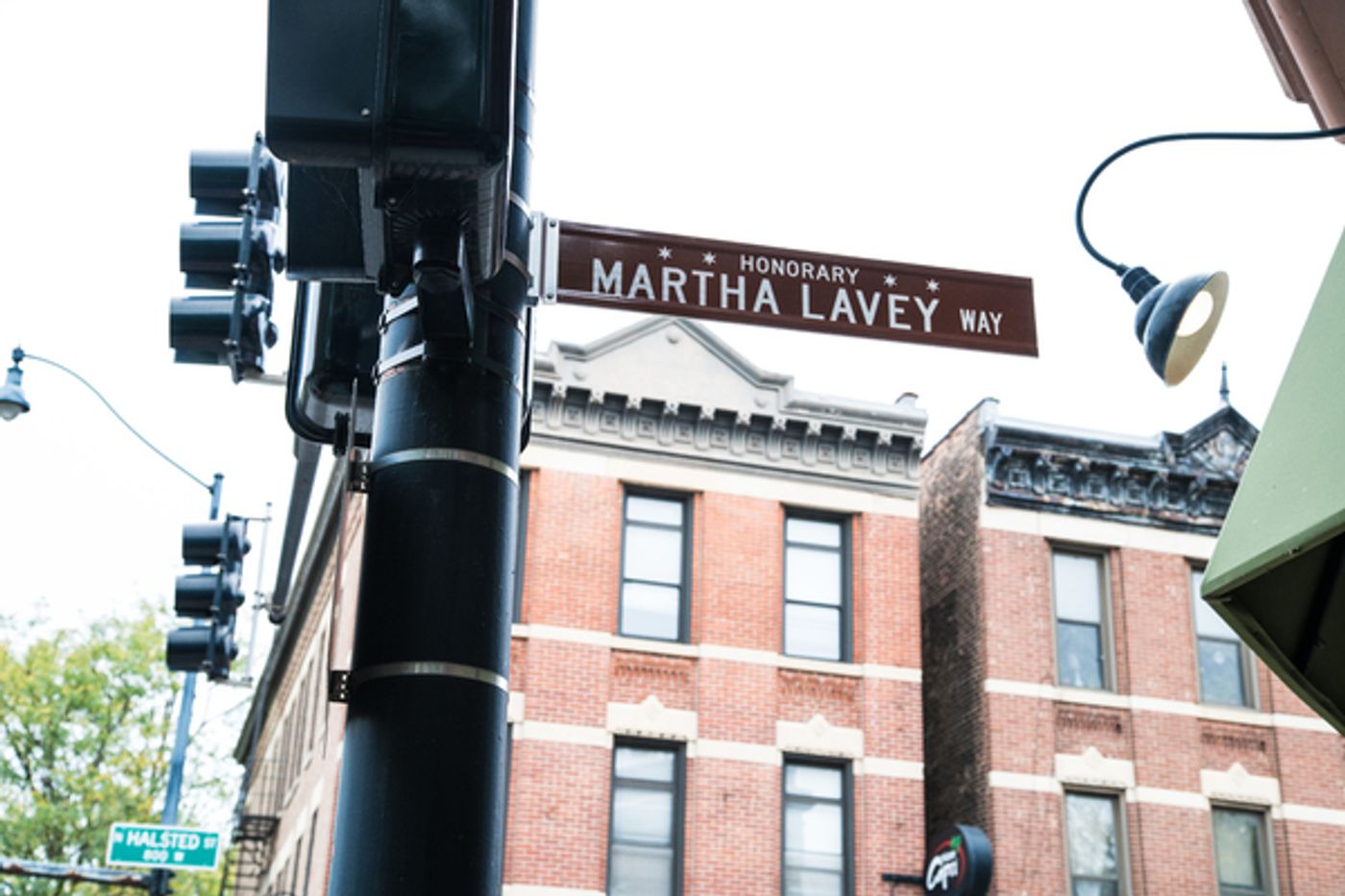 Photo Flash: Steppenwolf Pays Heartfelt Tribute to Martha Lavey  Image